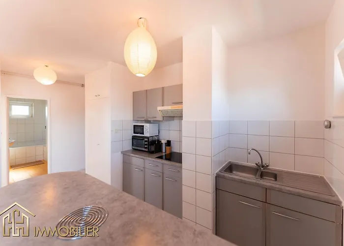 L'orient - Parking 公寓 科尔马