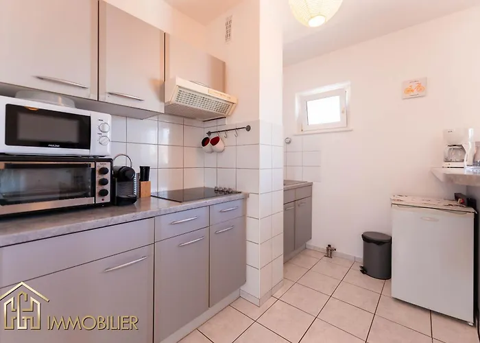 L'orient - Parking 公寓 科尔马