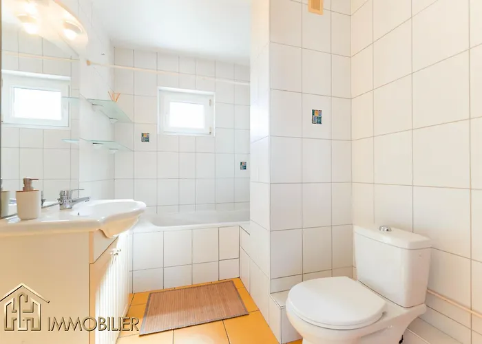 L'orient - Parking 公寓 科尔马